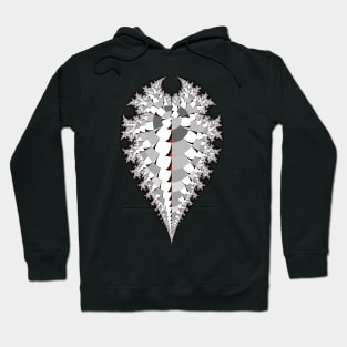 20150123-002 Inverted Mandelbrot Hoodie